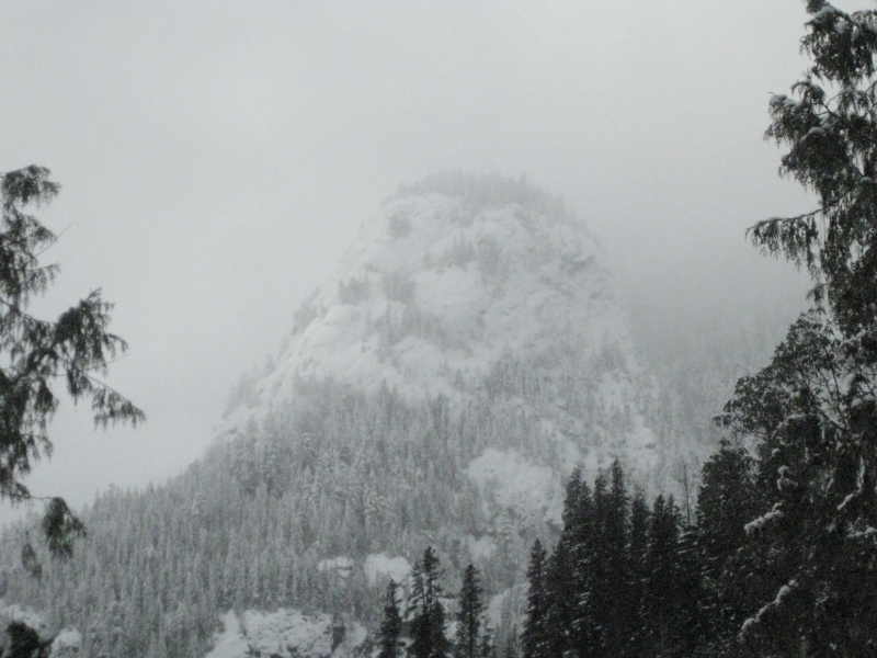 IMG_5784.JPG