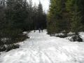 DSCF4950.JPG
