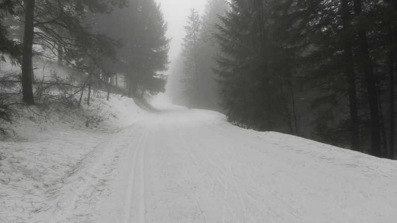 DSCN1684.JPG