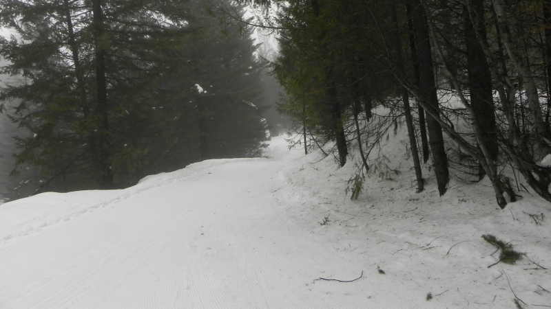 DSCN1689.JPG