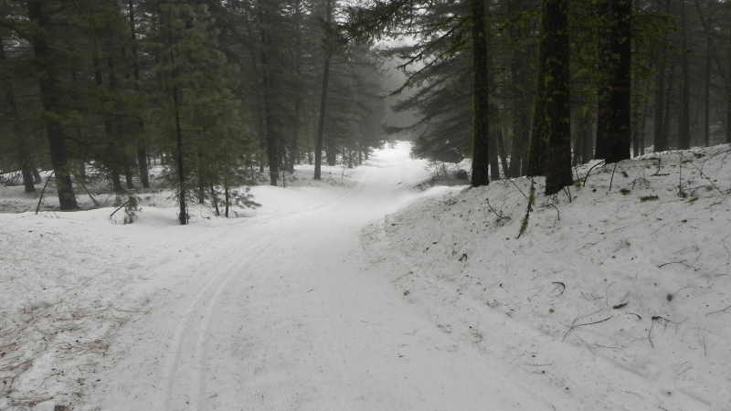 DSCN1694.JPG