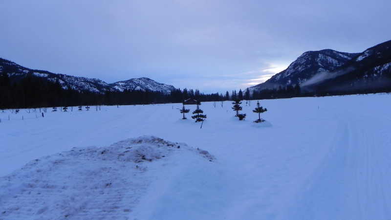 DSCN1735.JPG