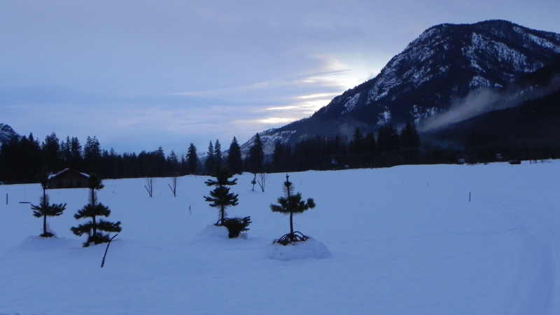 DSCN1738.JPG
