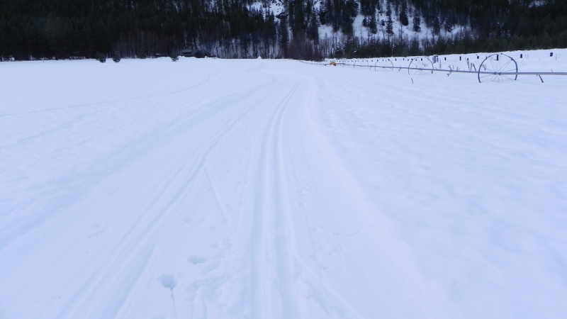 DSCN1745.JPG