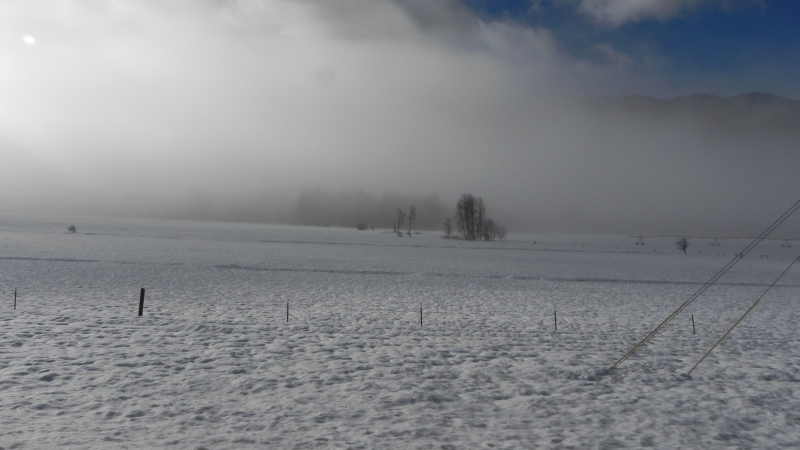 DSCN1767.JPG