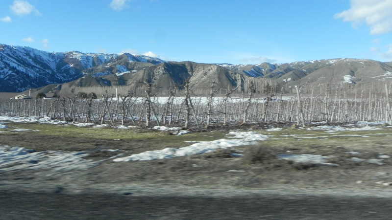 DSCN1822.JPG