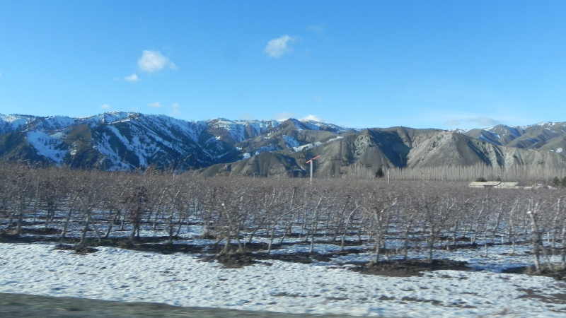 DSCN1824.JPG