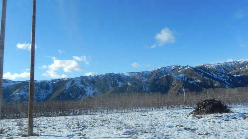 DSCN1827.JPG