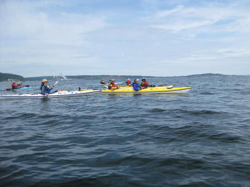 IMG_0444.JPG
