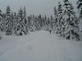 DSCF7076.JPG