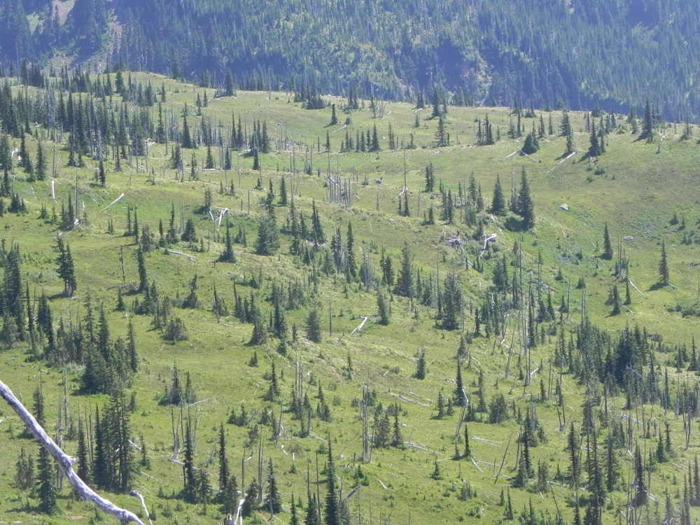 DSCN5417.JPG