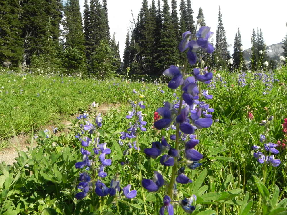 DSCN5240.JPG