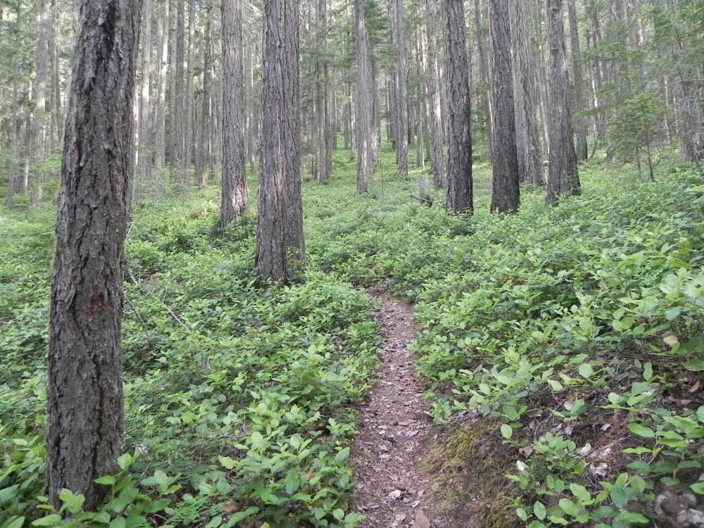 DSCN5508.JPG