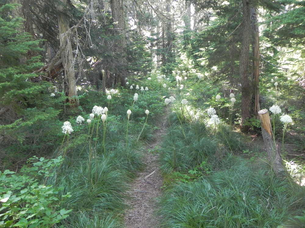 DSCN5509.JPG