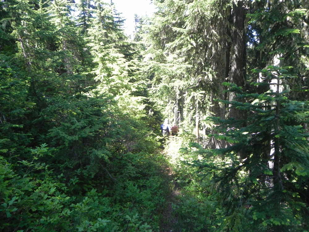 DSCN5516.JPG