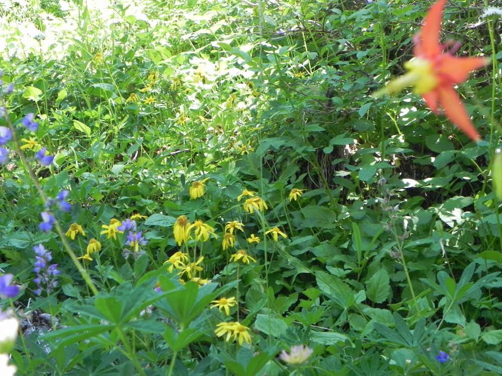 DSCN5522.JPG