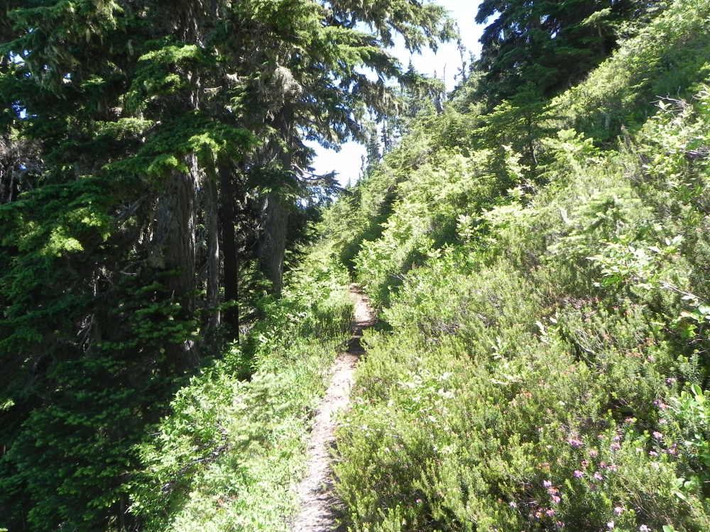 DSCN5524.JPG