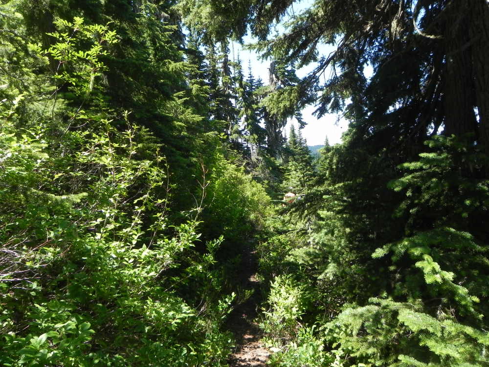 DSCN5525.JPG