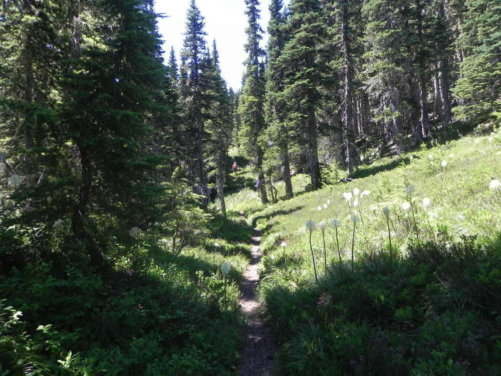 DSCN5553.JPG
