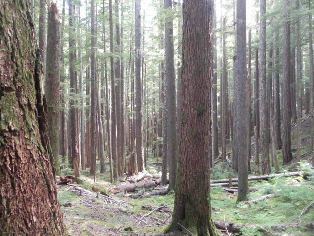 DSCN5568.JPG