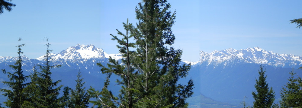 DSCN3205a.jpg