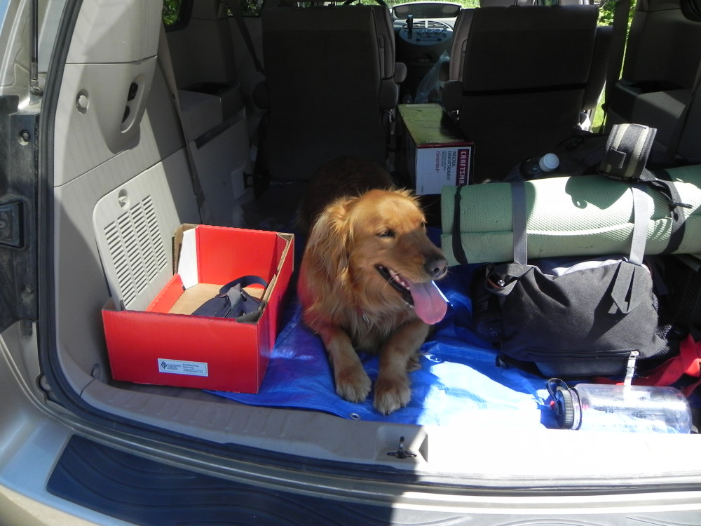 DSCN3216.JPG